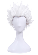 Fate Grand Order FGO Extra エミヤ アーチャー コスプレウィッグ