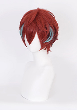 ヒプノシスマイク 麻天狼 観音坂独歩 コスプレウィッグ